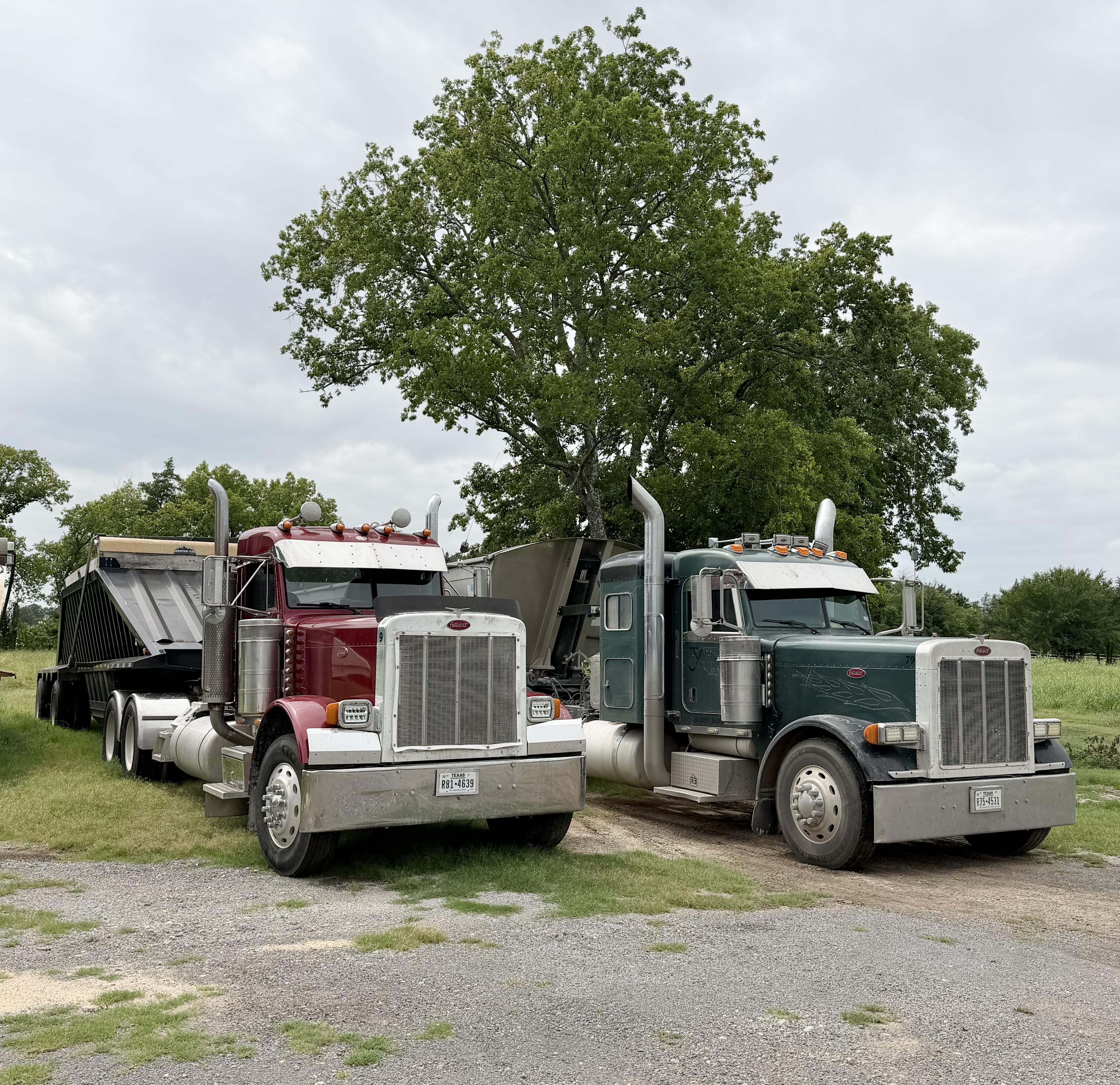 Our Trucks