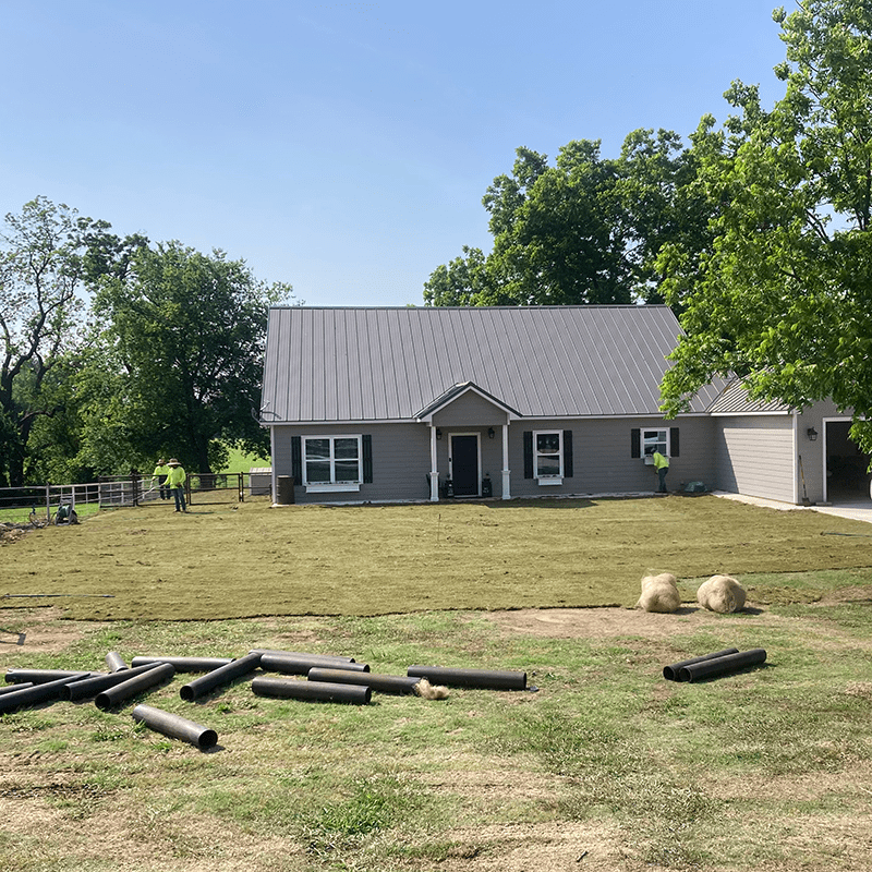 Fresh sod installation — residential lawn